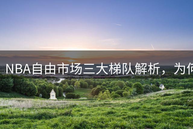 NBA自由市场三大梯队解析，为何这些实力战将仍无人问津？